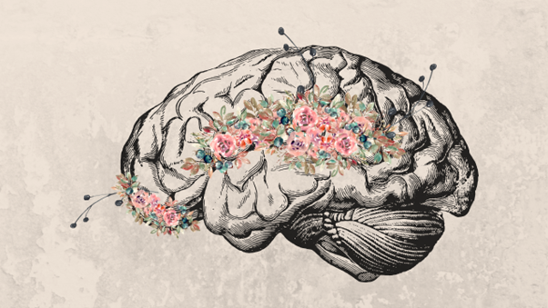 Mikayla Cropper entry