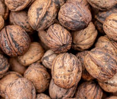 Walnut in their shell