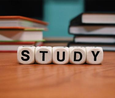 STUDY written on dice
