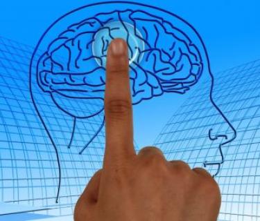 A finger pointing to an image of a brain