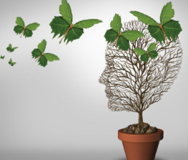 Where can a degree in Psychology take you?
