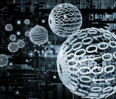 Digital skills in an ever-evolving working world