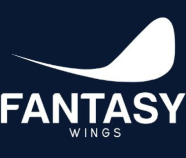 Fantasy Wings