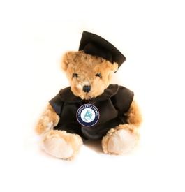 Arden University graduation teddy bear