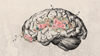 Mikayla Cropper entry