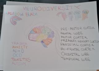 brain awareness week art submission