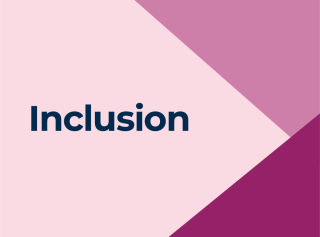 inclusion