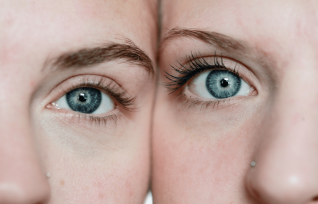 Twin Research in Psychology: A Critical Account