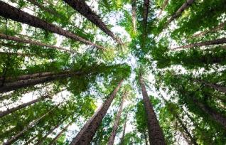 Arden praised for net zero commitment by minister