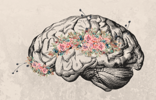 Activities for Brain Awareness Week 2023