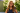 Arden University welcomes Nilhan Gökçetekin as new Chief Executive Officer
