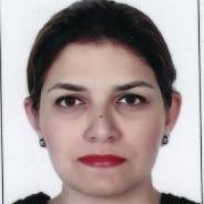 Dr Safia Mahmood – Lecturer, Accounting and Finance